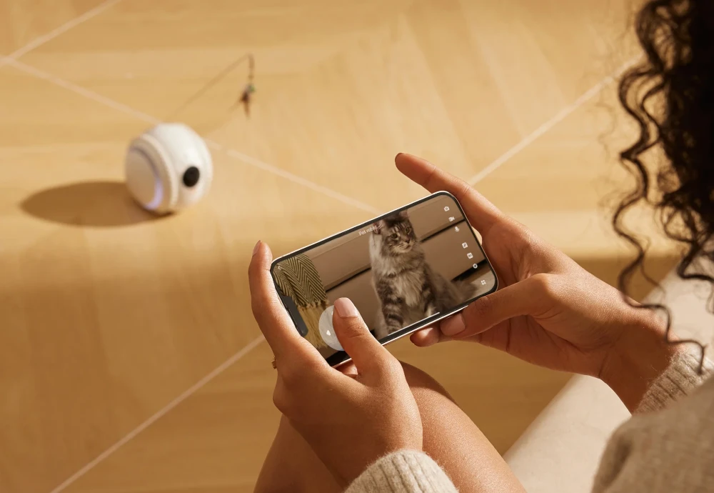 movable pet camera